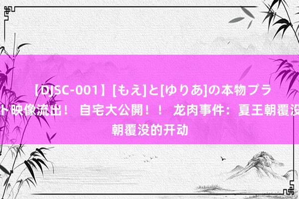 【DJSC-001】[もえ]と[ゆりあ]の本物プライベート映像流出！ 自宅大公開！！ 龙肉事件：夏王朝覆没的开动