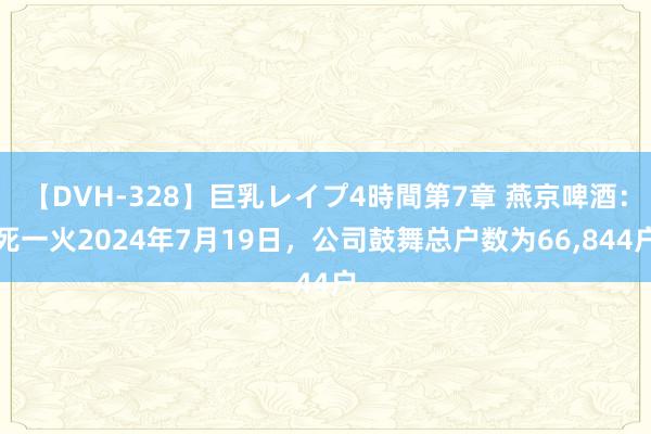 【DVH-328】巨乳レイプ4時間第7章 燕京啤酒：死一火2024年7月19日，公司鼓舞总户数为66，844户