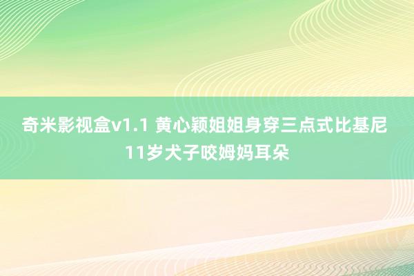 奇米影视盒v1.1 黄心颖姐姐身穿三点式比基尼 11岁犬子咬姆妈耳朵