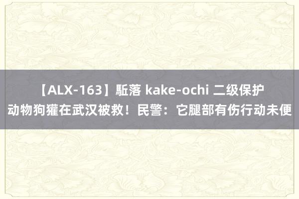 【ALX-163】駈落 kake-ochi 二级保护动物狗獾在武汉被救！民警：它腿部有伤行动未便