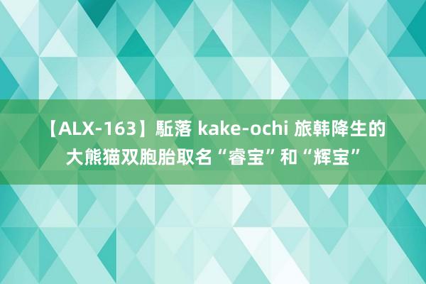 【ALX-163】駈落 kake-ochi 旅韩降生的大熊猫双胞胎取名“睿宝”和“辉宝”