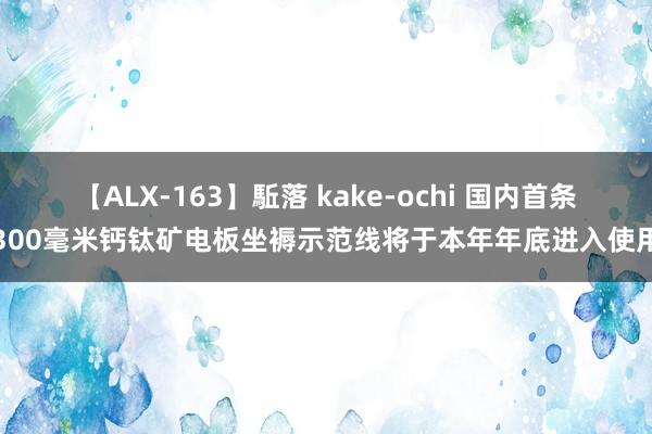 【ALX-163】駈落 kake-ochi 国内首条300毫米钙钛矿电板坐褥示范线将于本年年底进入使用