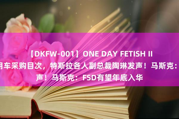 【DKFW-001】ONE DAY FETISH II ゆりあ 入围政府用车采购目次，特斯拉各人副总裁陶琳发声！马斯克：FSD有望年底入华