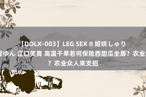 【DOLX-003】LEG SEX II 姫咲しゅり ゆりあ 眞雪ゆん 江口美貴 高温干旱若何保险西甜瓜坐蓐？农业众人来支招