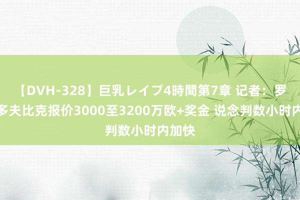 【DVH-328】巨乳レイプ4時間第7章 记者：罗马对多夫比克报价3000至3200万欧+奖金 说念判数小时内加快