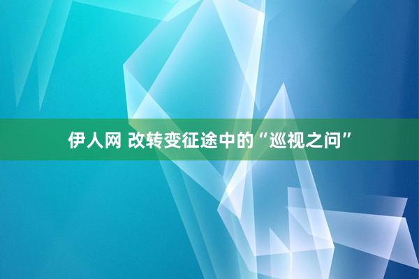 伊人网 改转变征途中的“巡视之问”