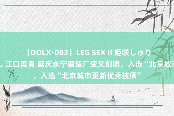 【DOLX-003】LEG SEX II 姫咲しゅり ゆりあ 眞雪ゆん 江口美貴 延庆永宁锻造厂变文创园，入选“北京城市更新优秀技俩”