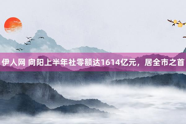 伊人网 向阳上半年社零额达1614亿元，居全市之首