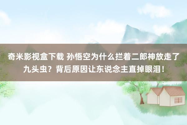 奇米影视盒下载 孙悟空为什么拦着二郎神放走了九头虫？背后原因让东说念主直掉眼泪！