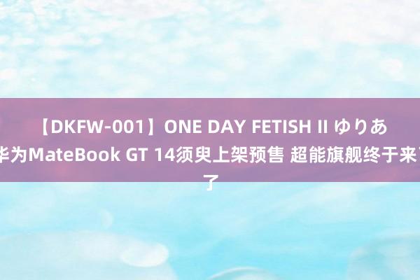 【DKFW-001】ONE DAY FETISH II ゆりあ 华为MateBook GT 14须臾上架预售 超能旗舰终于来了