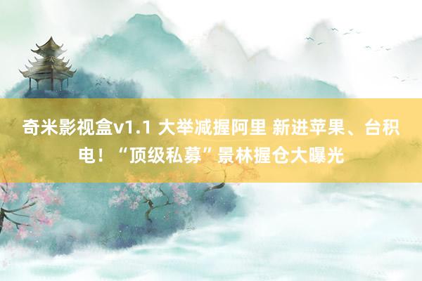 奇米影视盒v1.1 大举减握阿里 新进苹果、台积电！“顶级私募”景林握仓大曝光