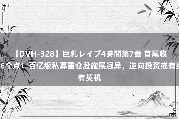 【DVH-328】巨乳レイプ4時間第7章 首尾收支66个点！百亿级私募重仓股施展迥异，逆向投资或有契机