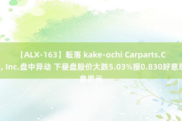 【ALX-163】駈落 kake-ochi Carparts.Com， Inc.盘中异动 下昼盘股价大跌5.03%报0.830好意思元