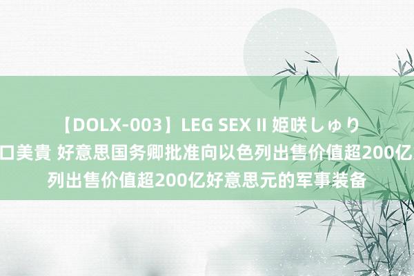 【DOLX-003】LEG SEX II 姫咲しゅり ゆりあ 眞雪ゆん 江口美貴 好意思国务卿批准向以色列出售价值超200亿好意思元的军事装备