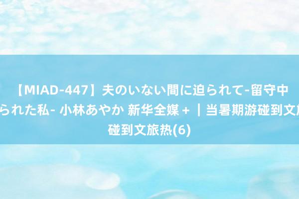 【MIAD-447】夫のいない間に迫られて-留守中に寝取られた私- 小林あやか 新华全媒＋｜当暑期游碰到文旅热(6)