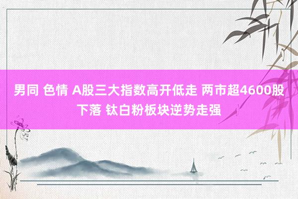 男同 色情 A股三大指数高开低走 两市超4600股下落 钛白粉板块逆势走强