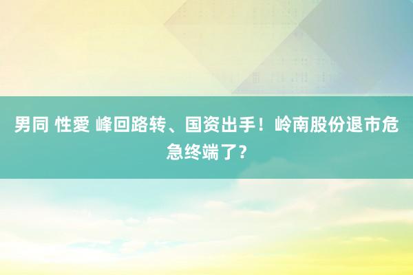 男同 性愛 峰回路转、国资出手！岭南股份退市危急终端了？