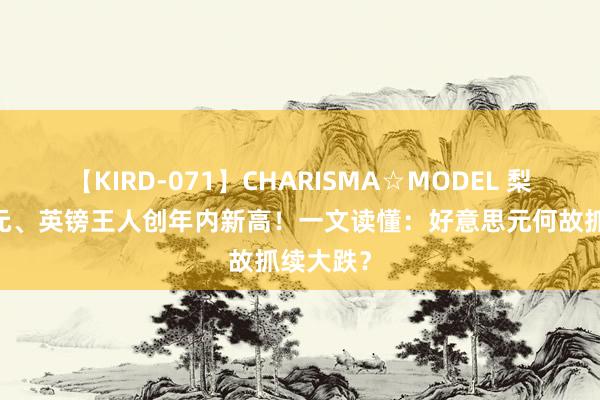 【KIRD-071】CHARISMA☆MODEL 梨々花 欧元、英镑王人创年内新高！一文读懂：好意思元何故抓续大跌？