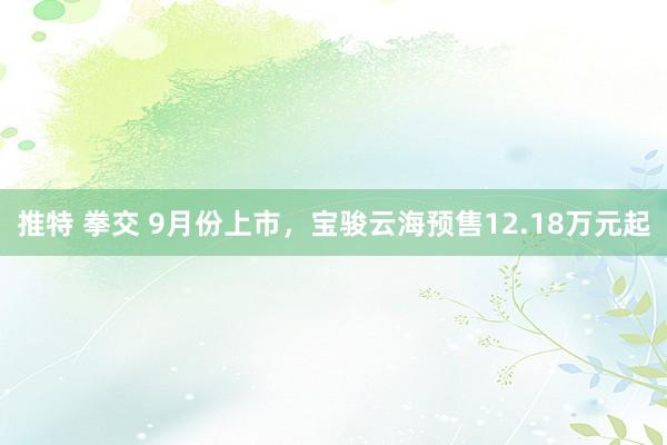 推特 拳交 9月份上市，宝骏云海预售12.18万元起