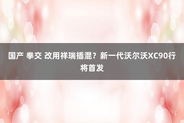 国产 拳交 改用祥瑞插混？新一代沃尔沃XC90行将首发