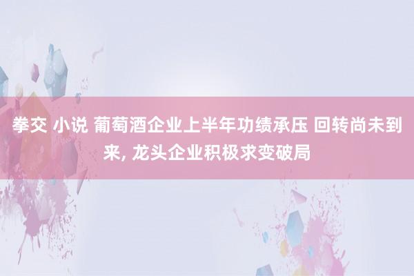 拳交 小说 葡萄酒企业上半年功绩承压 回转尚未到来， 龙头企业积极求变破局