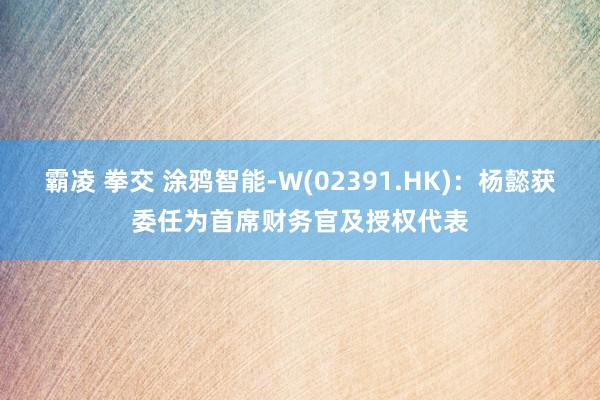 霸凌 拳交 涂鸦智能-W(02391.HK)：杨懿获委任为首席财务官及授权代表