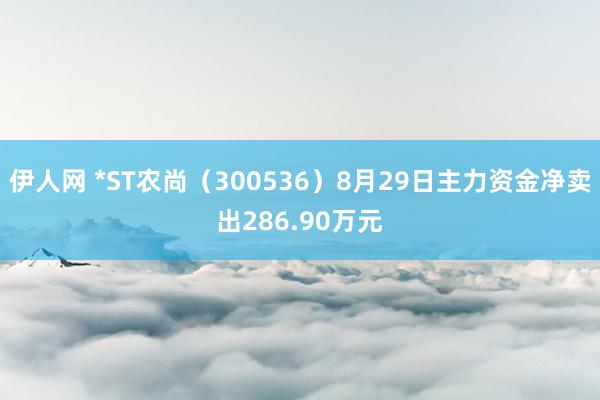 伊人网 *ST农尚（300536）8月29日主力资金净卖出286.90万元