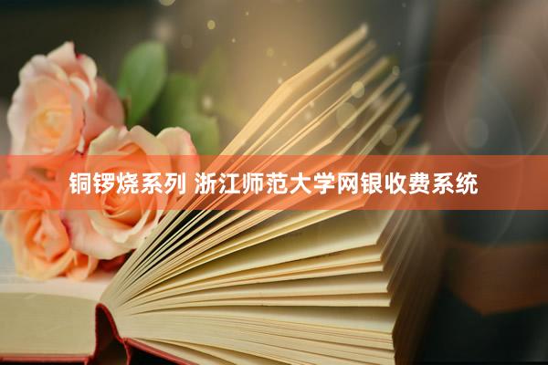 铜锣烧系列 浙江师范大学网银收费系统