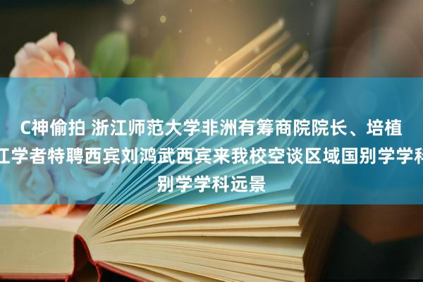 C神偷拍 浙江师范大学非洲有筹商院院长、培植部长江学者特聘西宾刘鸿武西宾来我校空谈区域国别学学科远景