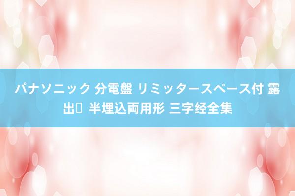 パナソニック 分電盤 リミッタースペース付 露出・半埋込両用形 三字经全集