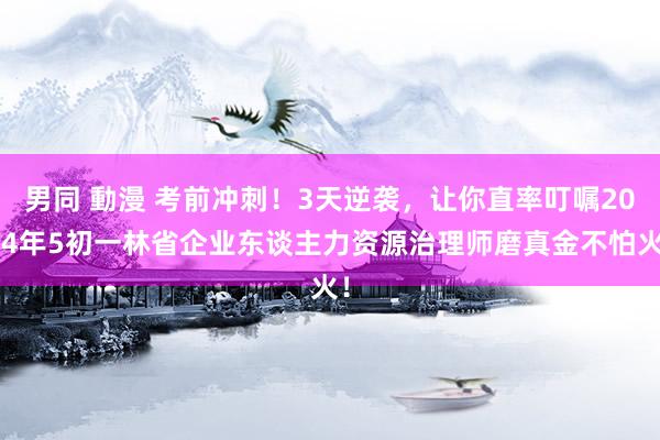 男同 動漫 考前冲刺！3天逆袭，让你直率叮嘱2024年5初一林省企业东谈主力资源治理师磨真金不怕火！