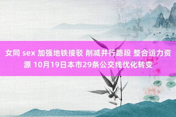 女同 sex 加强地铁接驳 削减并行路段 整合运力资源 10月19日本市29条公交线优化转变