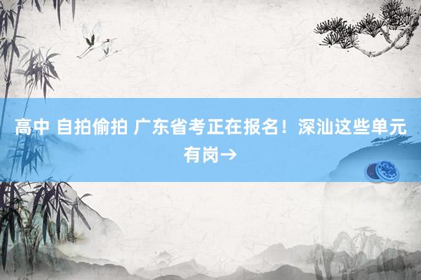 高中 自拍偷拍 广东省考正在报名！深汕这些单元有岗→