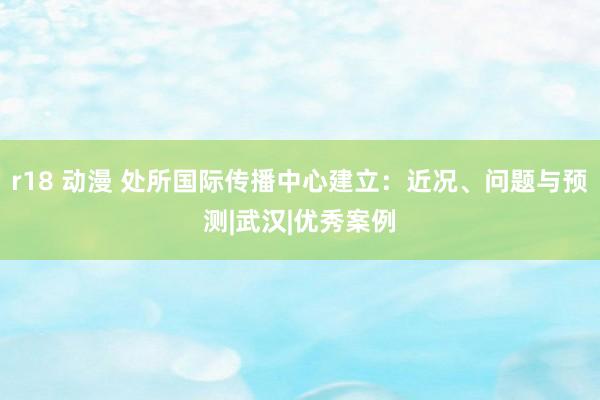 r18 动漫 处所国际传播中心建立：近况、问题与预测|武汉|优秀案例